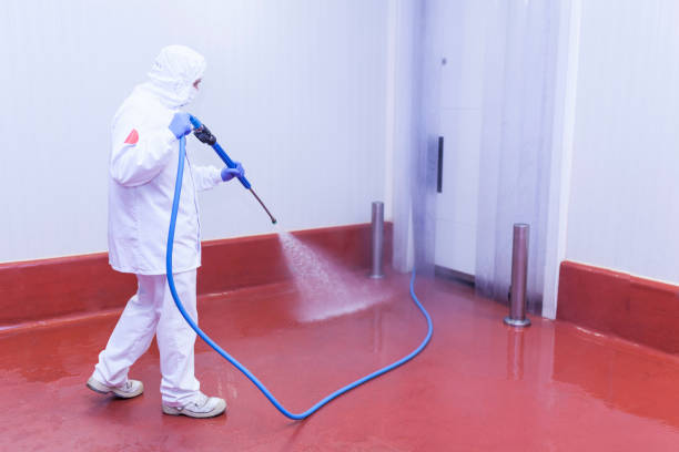 Best Patio and Deck Pressure Washing  in Kaukauna, WI